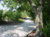 Outdoor Nature Trail