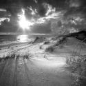 Black and white beach dunes