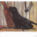retrievers