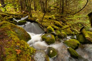 Amateur- Honorable Mention- Landscape & scenery- Babbling Brook by Russell Taylor III