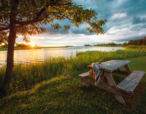 Professional- 1st Best in Category- Landcape & scenery- Picture Perfect by Nancy Henry