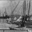 Oyster War
