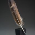 2019 Ward's World Bird Carving Competition