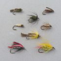 Flies