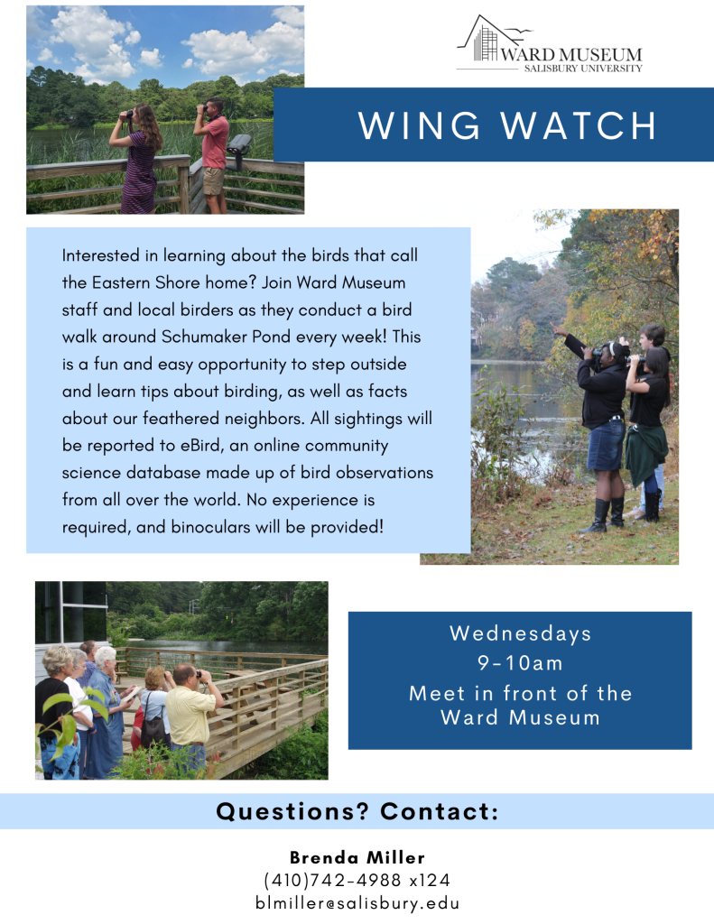 Copy Of Wednesday Bird Walks Flier