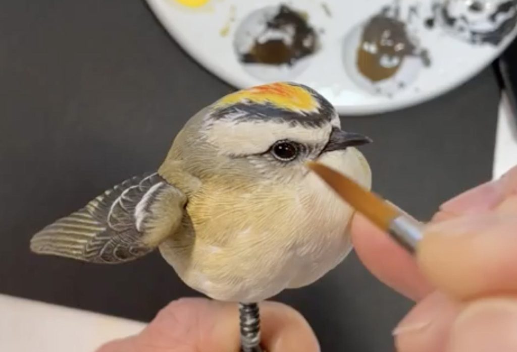 Golden Crownedkinglet 1024x1024@2x