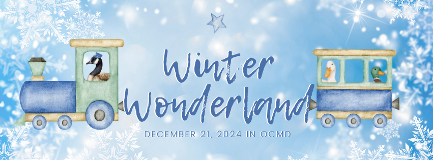 2024 Winter Wonderland (2)