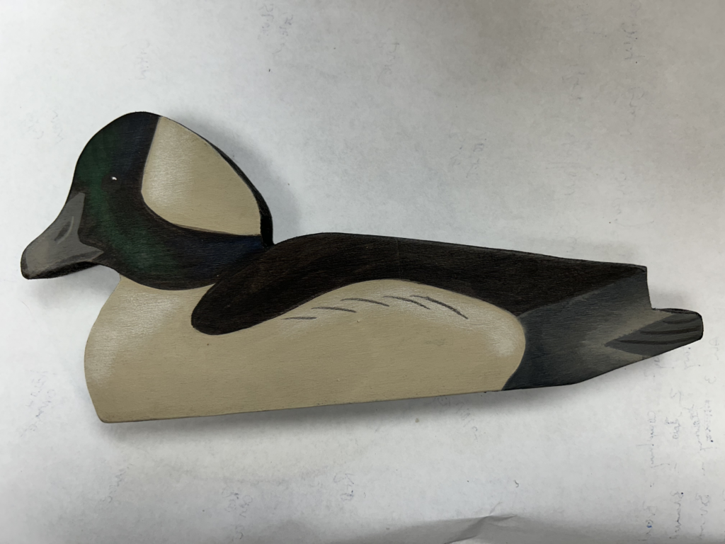 2025 Ca Bufflehead