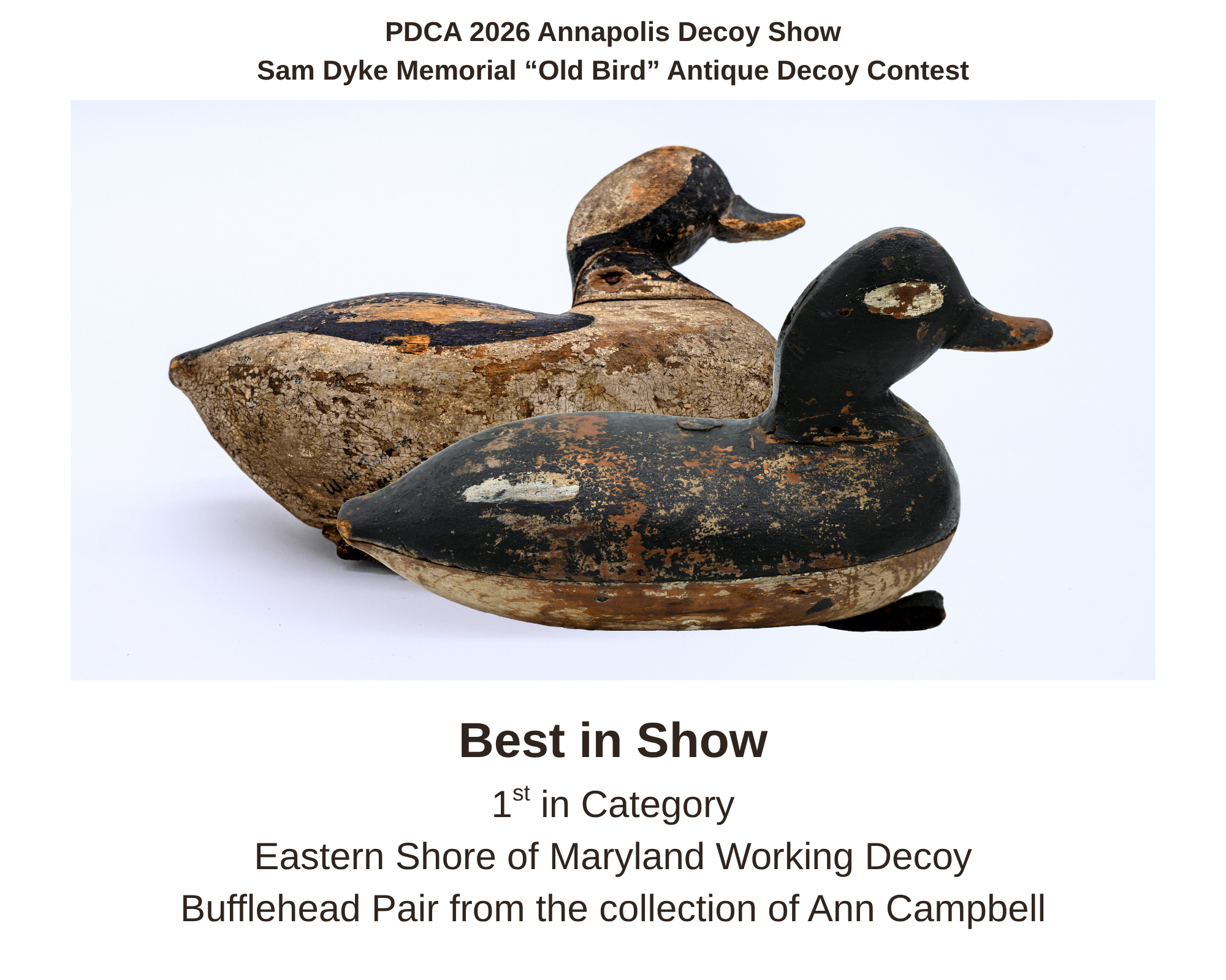 Best in Show PDCA 26