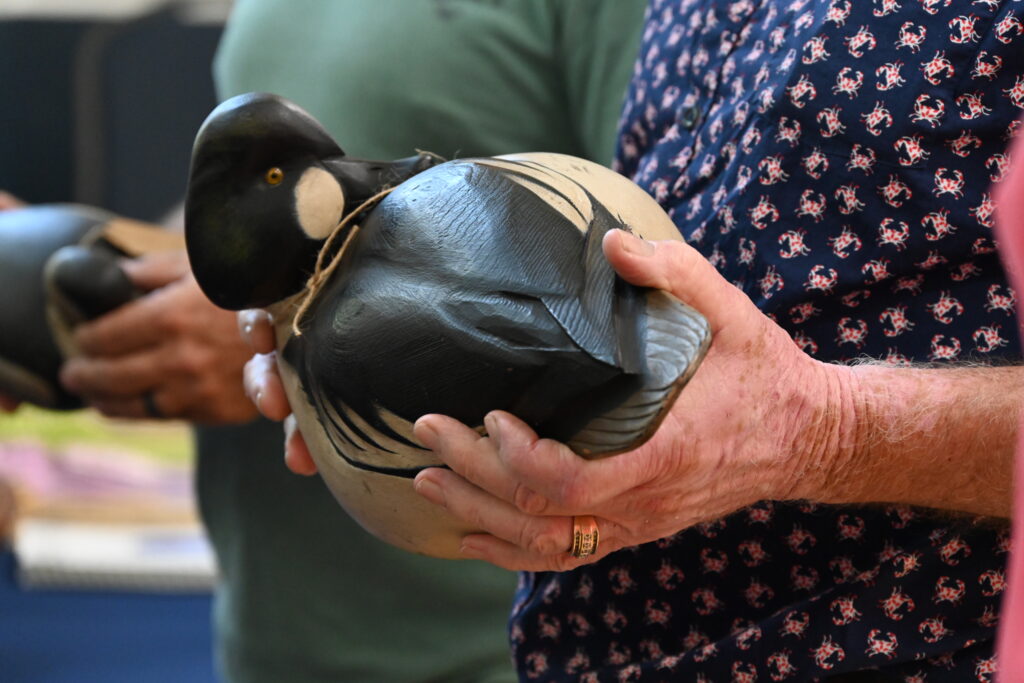 Judging of Old Birds